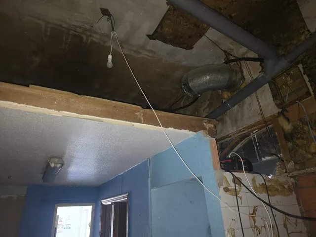 PON TU NEGOCIO DE COMIDA PARA LLEVAR Y OTRO PARA TIENDA EN  SANTA POLA — 38