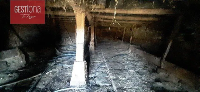 CABAÑA EN PLENA NATURALEZA, SAN PEDRO DEL ROMERAL. - foto 5