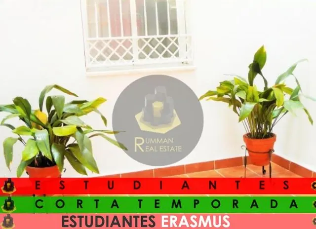 La casa de los seis en La Chana (pero sin drama y con baño propio) — 21
