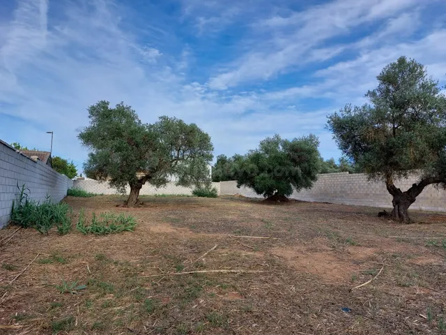 Terreno urbano en venta - foto 4