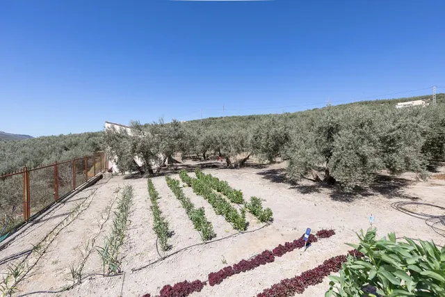 Casa con terreno ubicada en plena naturaleza, a tan solo 2km de Montefrio. — 42