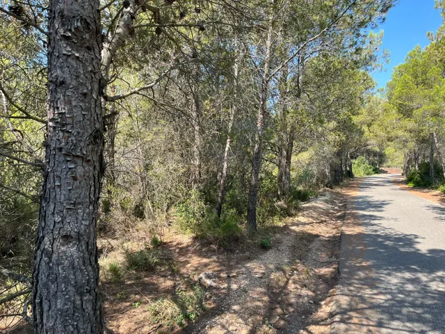 Terreno agrario en Mont-roig del camp, con barraca y pozo — 4