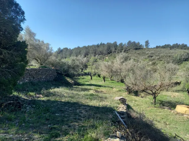APROVECHAR DE LA NATURALEZA