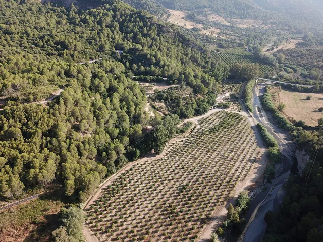 Finca rústica 8 habitaciones 700m² en venta - South of spain - foto 3