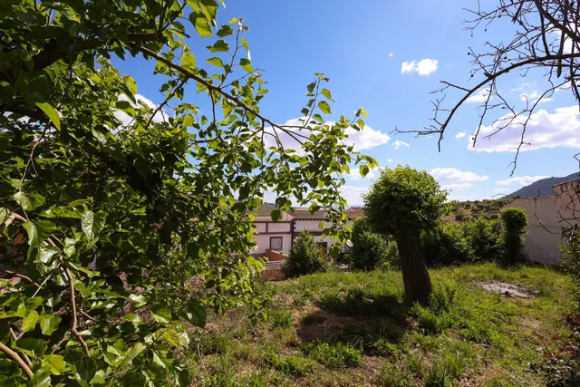 Amplio Chalet en Illora — 12