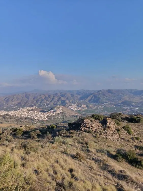 Parcela en venta - Alora pueblo — 21