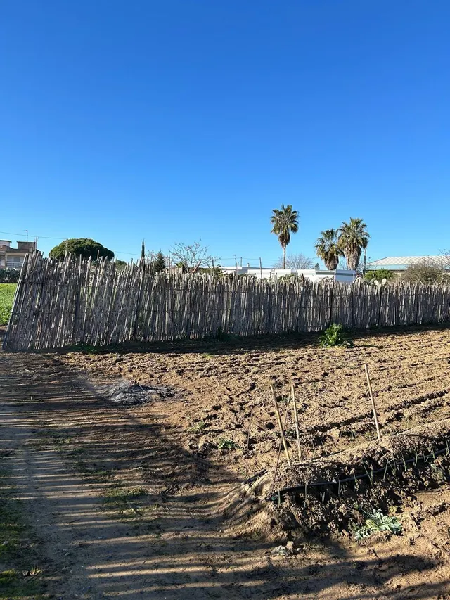 PARA LOS AMANTES DEL CAMPO Y NATURALEZA — 17