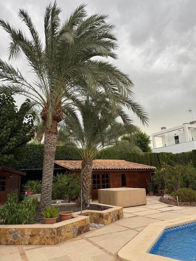 Espectacular villa de lujo con piscina privada, spa y bodega en los alrededores de elche — 6