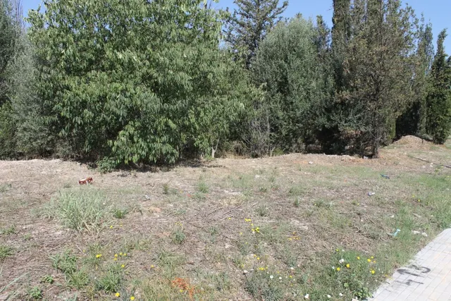 Terreno Industrial en Olesa de Montserrat en Venta o Alquiler — 5