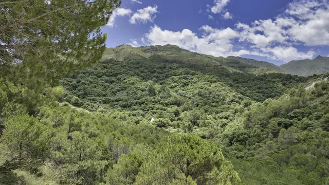 Parcela en venta - South of spain — 3