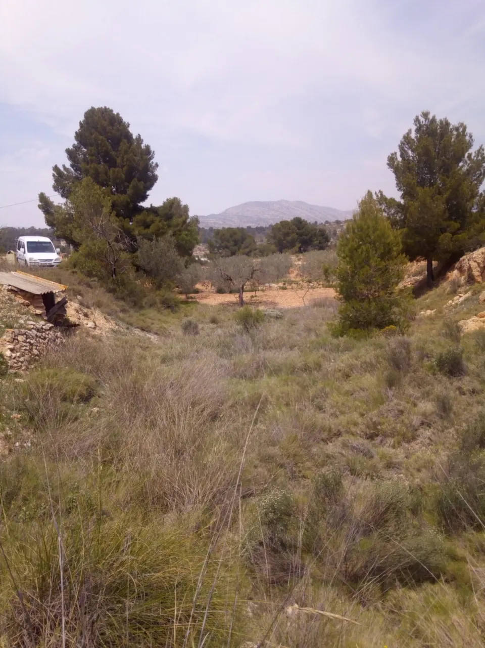 TERRENO EN MONOVAR