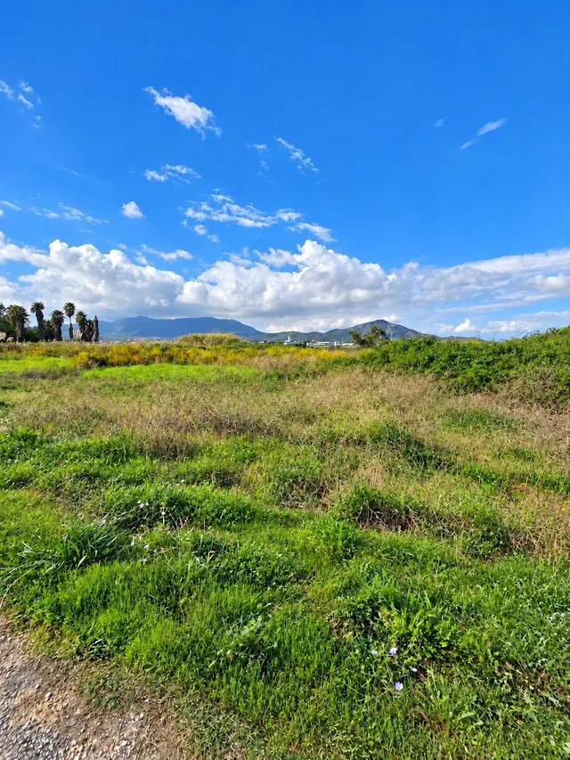 Finca rústica de 6.705 m2 en la zona de els ullals de baltasar, Amposta — 19