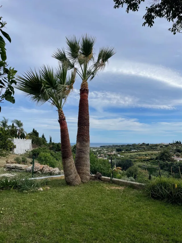 Villa El Velerin — 33