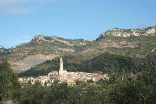 TERRENO RÚSTICO DE SECANO DE AVELLANOS - RIUDECOLS - foto 4