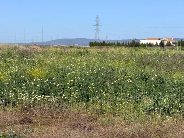 Terreno urbanizable 787m² en venta - LOS ROSALES - foto 3