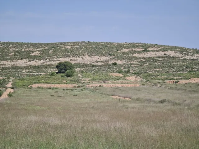 Parcela en venta - Jumilla centro - foto 4