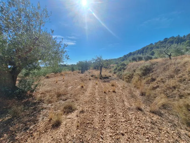 Terreno agrícola con olivos, almendros y vistas al Castillo de Castalla — 17.000 € — 4