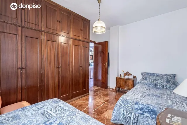 PISO EN PEDRO ANTONIO DE ALARCON — 18