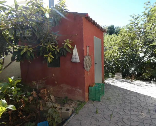 ++Chalet en Alguazas Huerta++ 340 m. de superficie, 709 parcela — 7