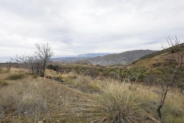Magnífica finca de 400 olivos en Monachil — 20