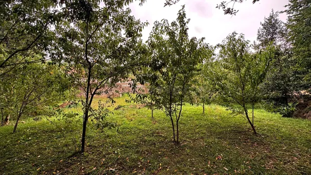 Terreno Urbano en Novales Alfoz de Lloredo - foto 4