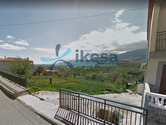 Oportunidad de Inversión en el Corazón de Fiñana - Adosado a - foto 3
