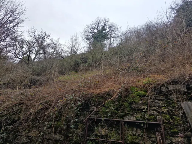 Terreno Orbaizeta — 19