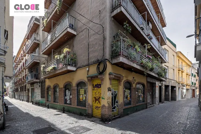 Junto San Antón — 18