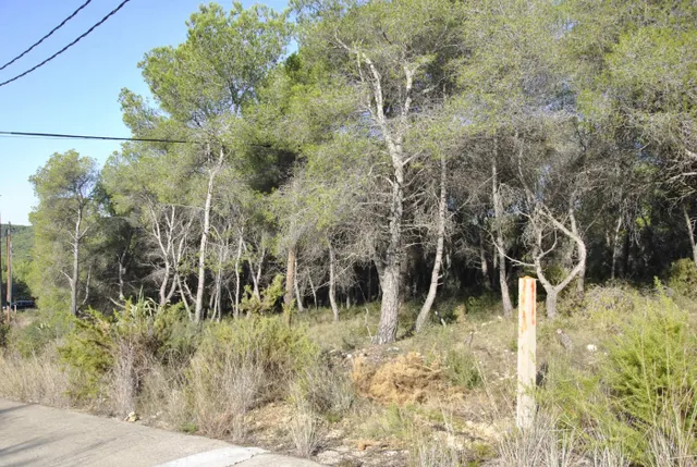 Parcela Rústica en el municipio de Cubelles, 5.560 mts2 Corral d'en Cona — 11