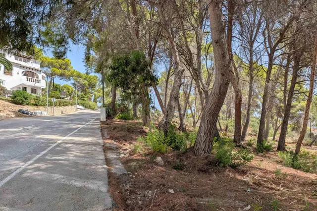 Parcela en venta - Pinar de Advocat-Cometa — 11