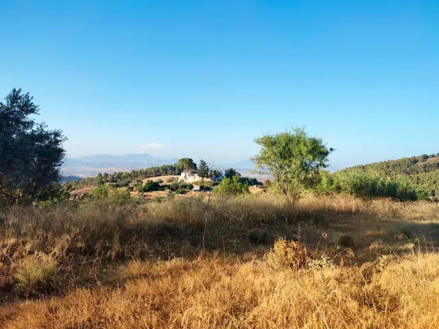 COMPLEJO FINCA RURAL DE 267 HECTÁREAS CON 6 VIVIENDAS Y PISC
