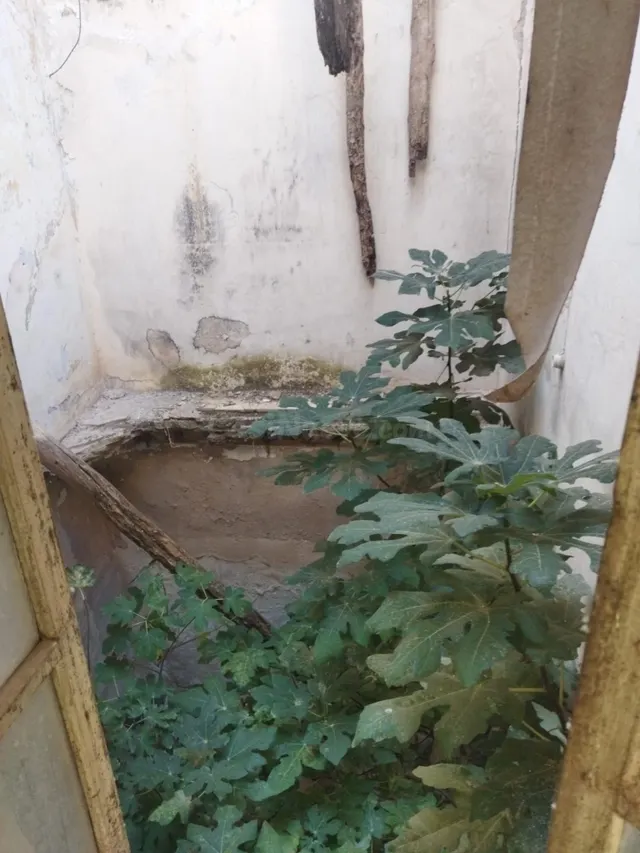 CASA PARA REFORMAR EN EL CENTRO DE BENAMEJI, SALE A LA VENTA - foto 4