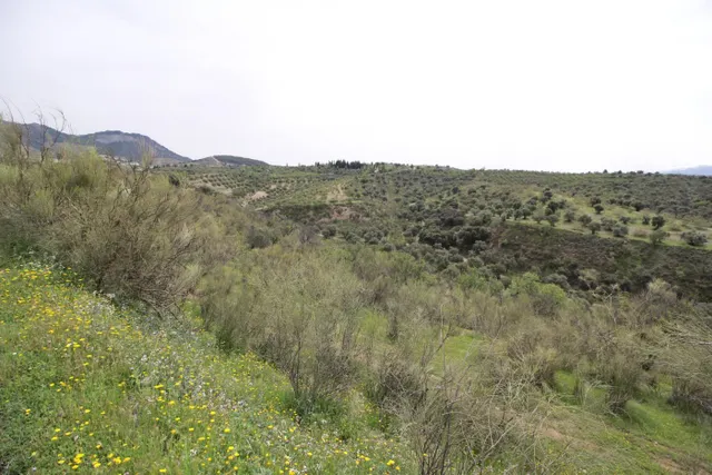 FINCA EN CORTIJO SAN JERÓNIMO (BARTODANO) — 34
