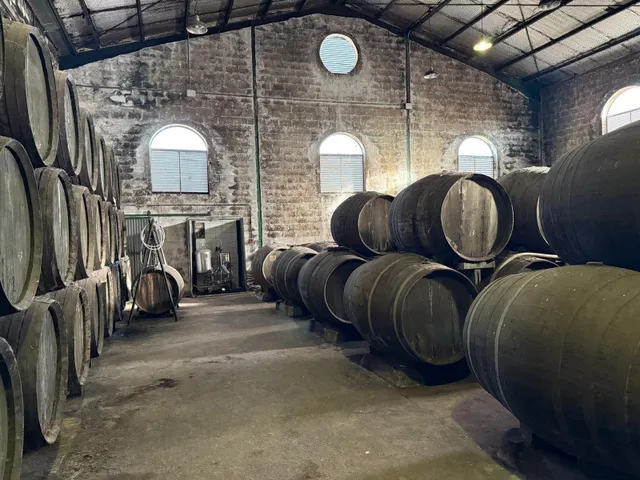 Viñedo de 24,40ha 1300m2 naves y 400m2 restaurante — 25