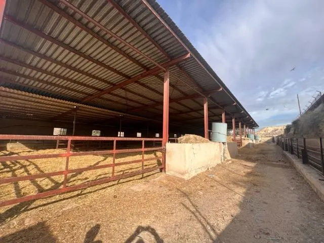 SE VENDE EXPLOATACIÓN GANADERA¡ - foto 4