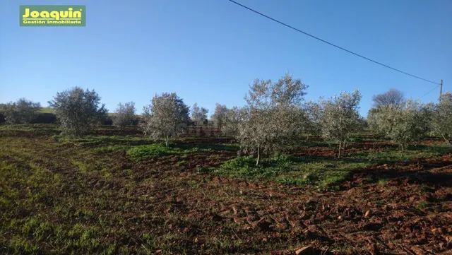 TERRENOS RUSTICOS EN BARRIADA DEL ÁNGEL - foto 3