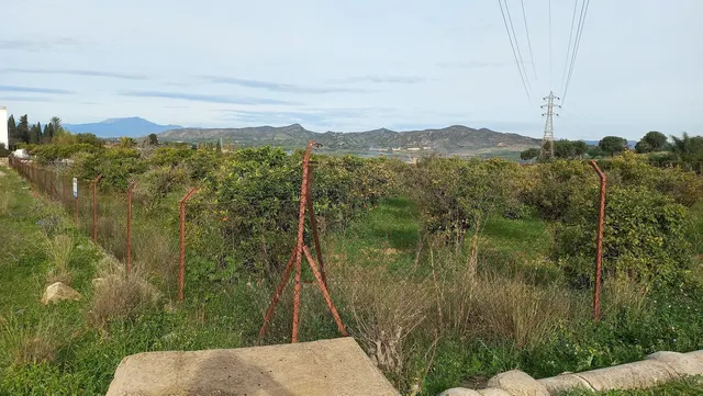 Terreno rústico de 3.413 m2 en Alhaurín de la Torre para proyectos rurales — 10