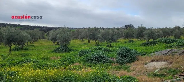 CASA DE CAMPO EN EL VISO DE LOS PEDROCHES — 14