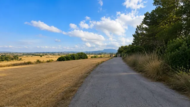Solar en un entorno tranquilo de Algaida - foto 4
