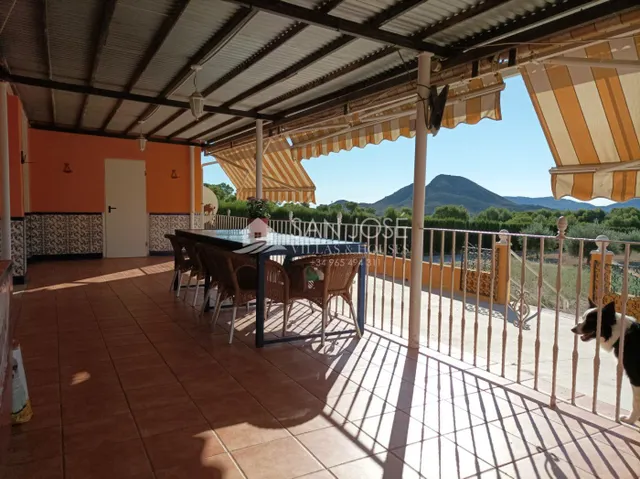 INMOBILIARIA SAN JOSE VENDE ESTUPENDO CHOLLO DE  CHALET EN POZOBLANCO-MONFORTE DEL CID — 42