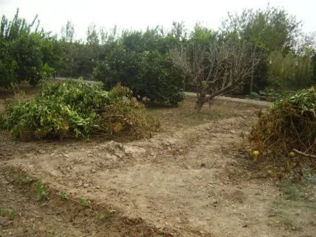 ++OCASION++TERRENO EN VENTA EN BUENA ZONA DE LA RIBERA DE MOLINA+ — 9