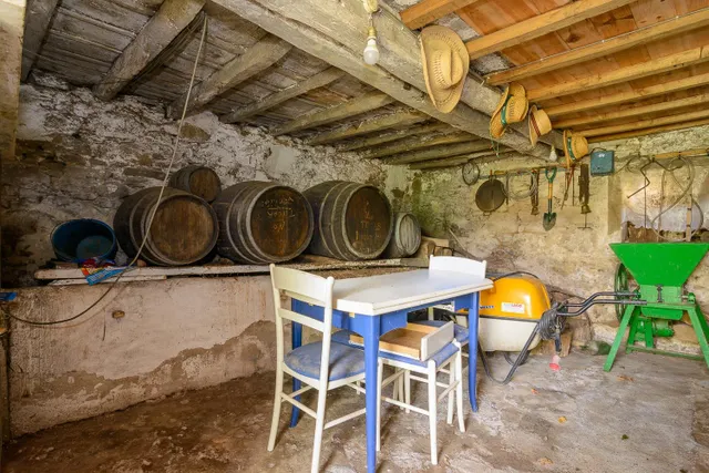 Casa  asturiana de piedra a rehabilitar con finca de 32.000 m2  en Llaneces (Mieres) — 18