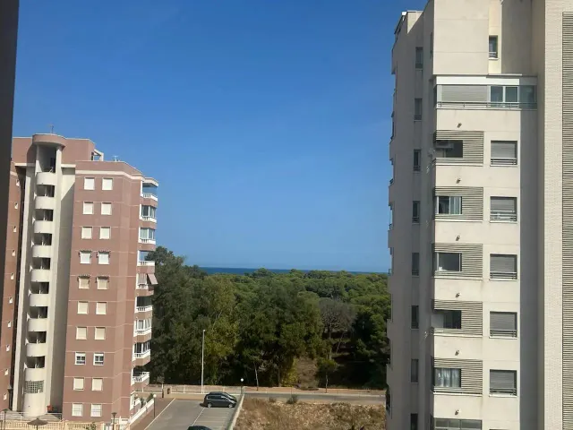 Apartamento 2 habitaciones 1m² en venta - Villananitos — 5