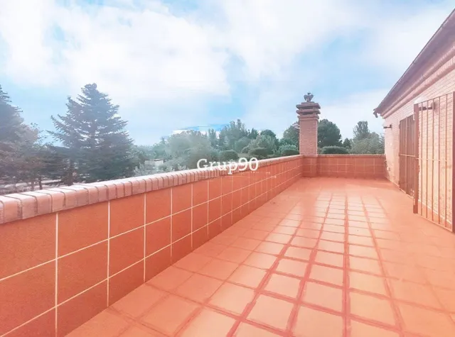 ESPECTACULAR CASA CON PISCINA, BARBACOA  EN PARCELA DE MÁS DE 20.000M2 — 42