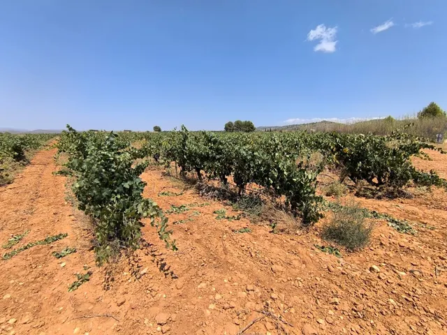 Parcela en venta - Ayuntamiento — 6
