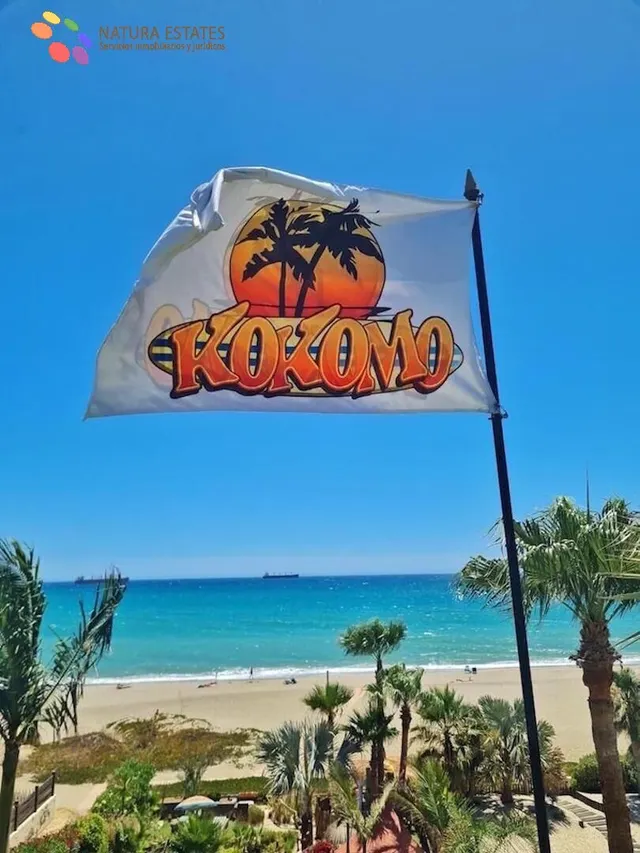¡TIENES QUE CONOCER KOKOMO! — 48