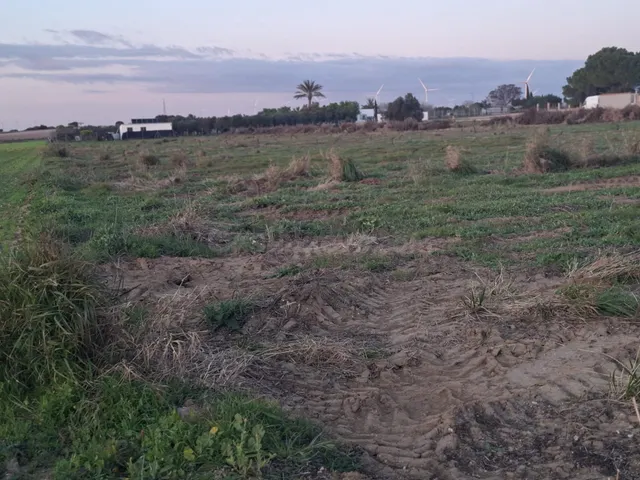 Parcela de 12.000 m2 en marquesado — 4