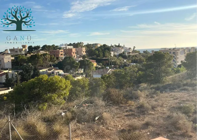 PARCELA EN MOJÓN HILLS — 3