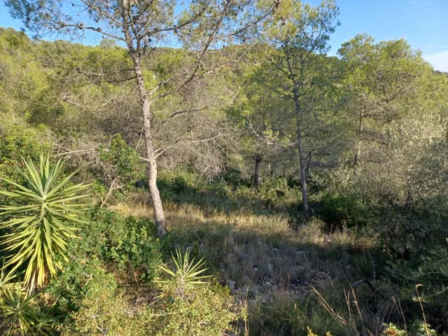 Terreno urbano edificable en venta de 1287 m2 en CASTELLET I LA GORNAL — 9