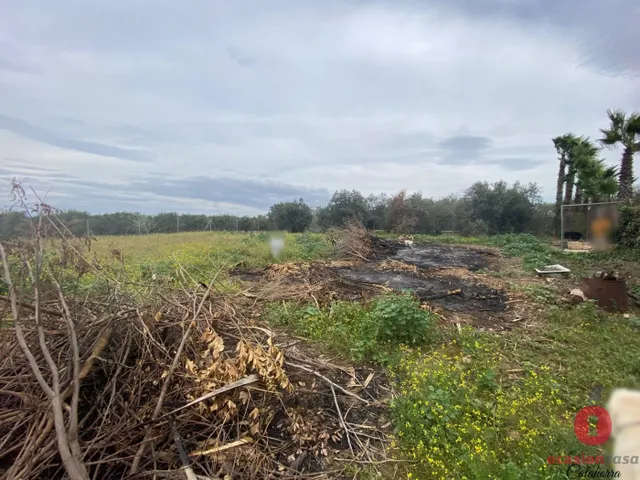 GRAN CASA CON TERRENO EN LOS ALGARBES (LA CARLOTA) - 3.500 METROS ¡HIPOTECABLE! — 37